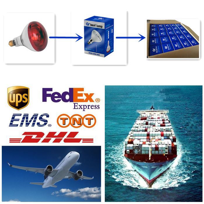 Transport of 250 watt infrared heat lamp